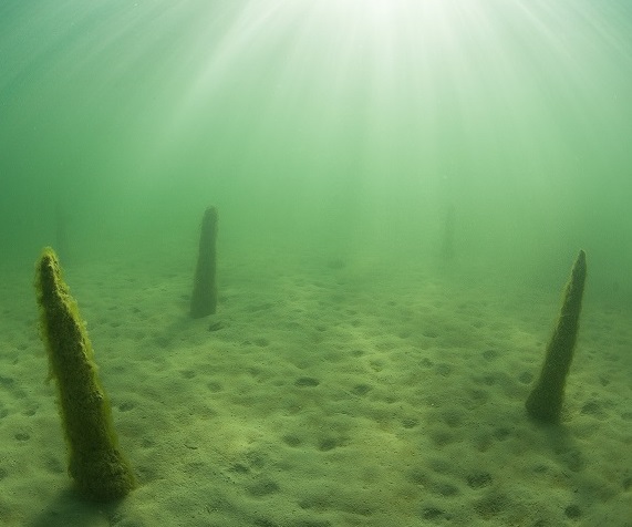 Palafittes Aiguebelette