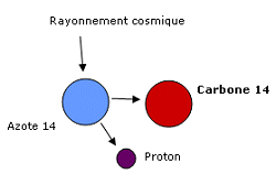 Formation Carbone 14