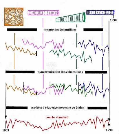 raboutage dendrochronologie