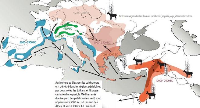 Diffusion de l'agriculture en Europe